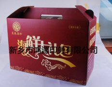 带提手食品彩印礼盒